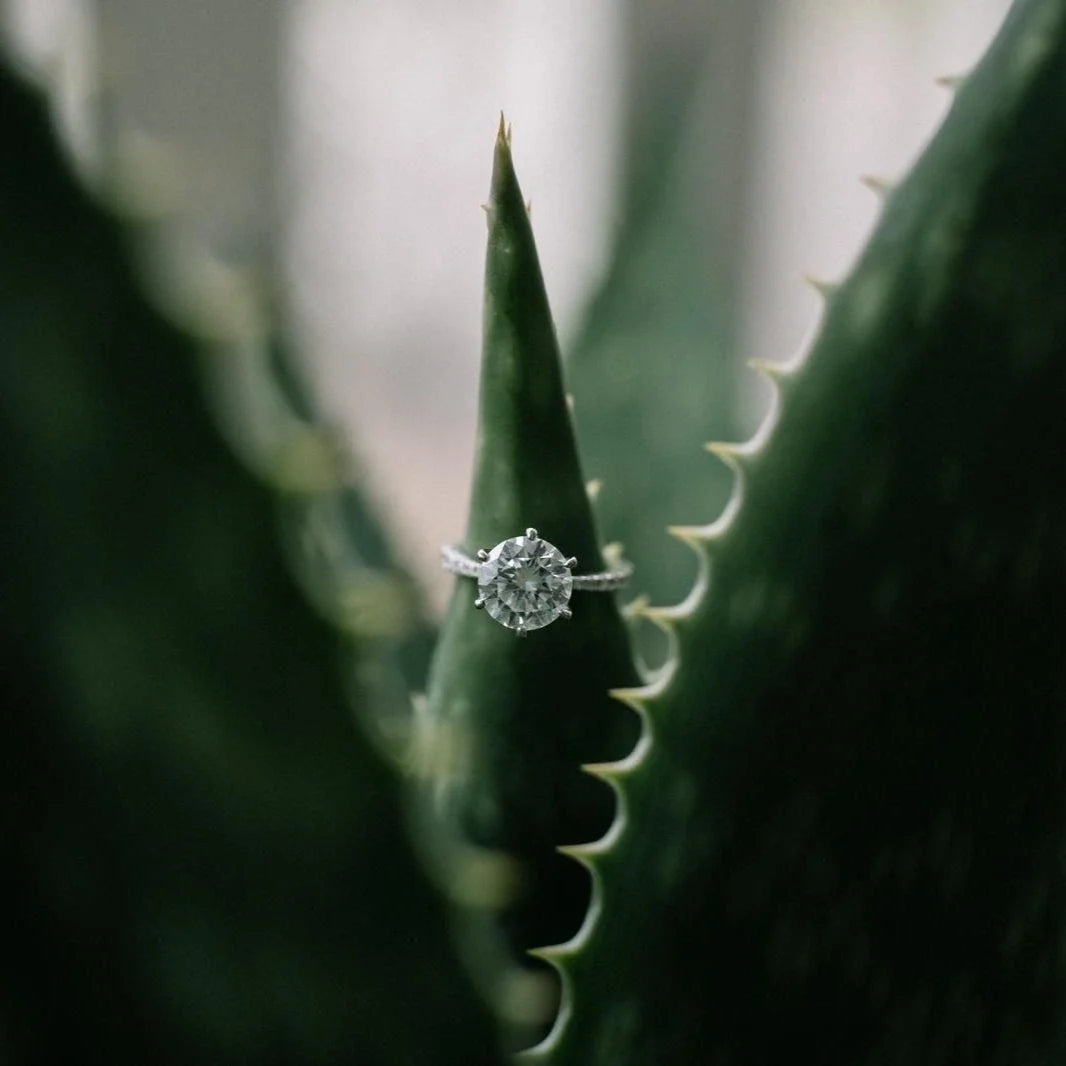 Embracing Conscious Luxury: The Rise of Sustainable and Ethical Jewelry