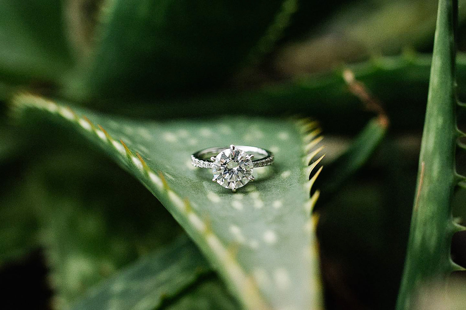 Embracing Conscious Luxury: The Rise of Sustainable and Ethical Jewelry