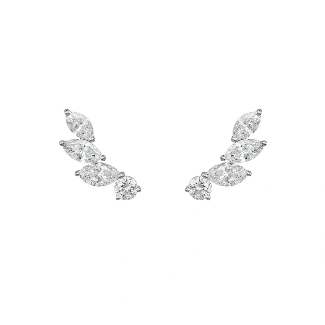Pair of diamond climber on white background